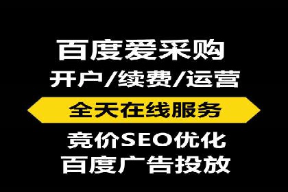 SEO与SEM融合策略：成功案例解析